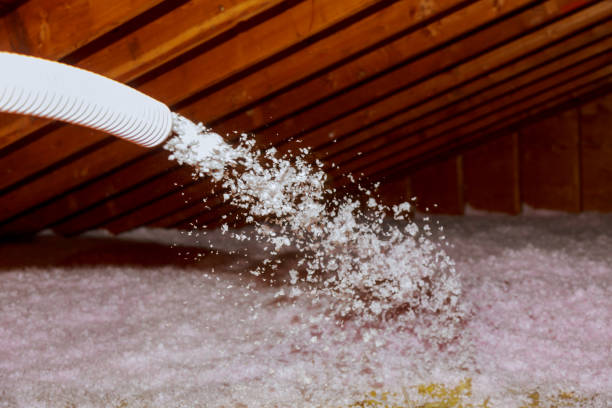 Best Energy-efficient Insulation  in Lanham, MD