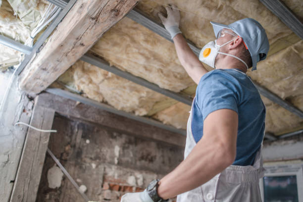 Best Local Insulation Services  in Lanham, MD