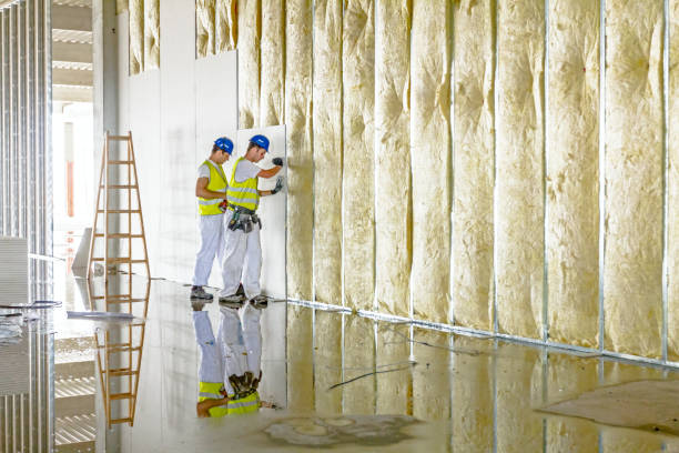 Best Insulation Repair Services  in Lanham, MD